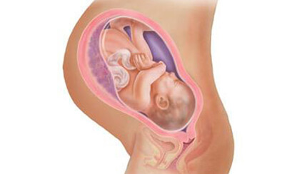 Quá trình phát triển của thai nhi trong bụng mẹ tuần 40